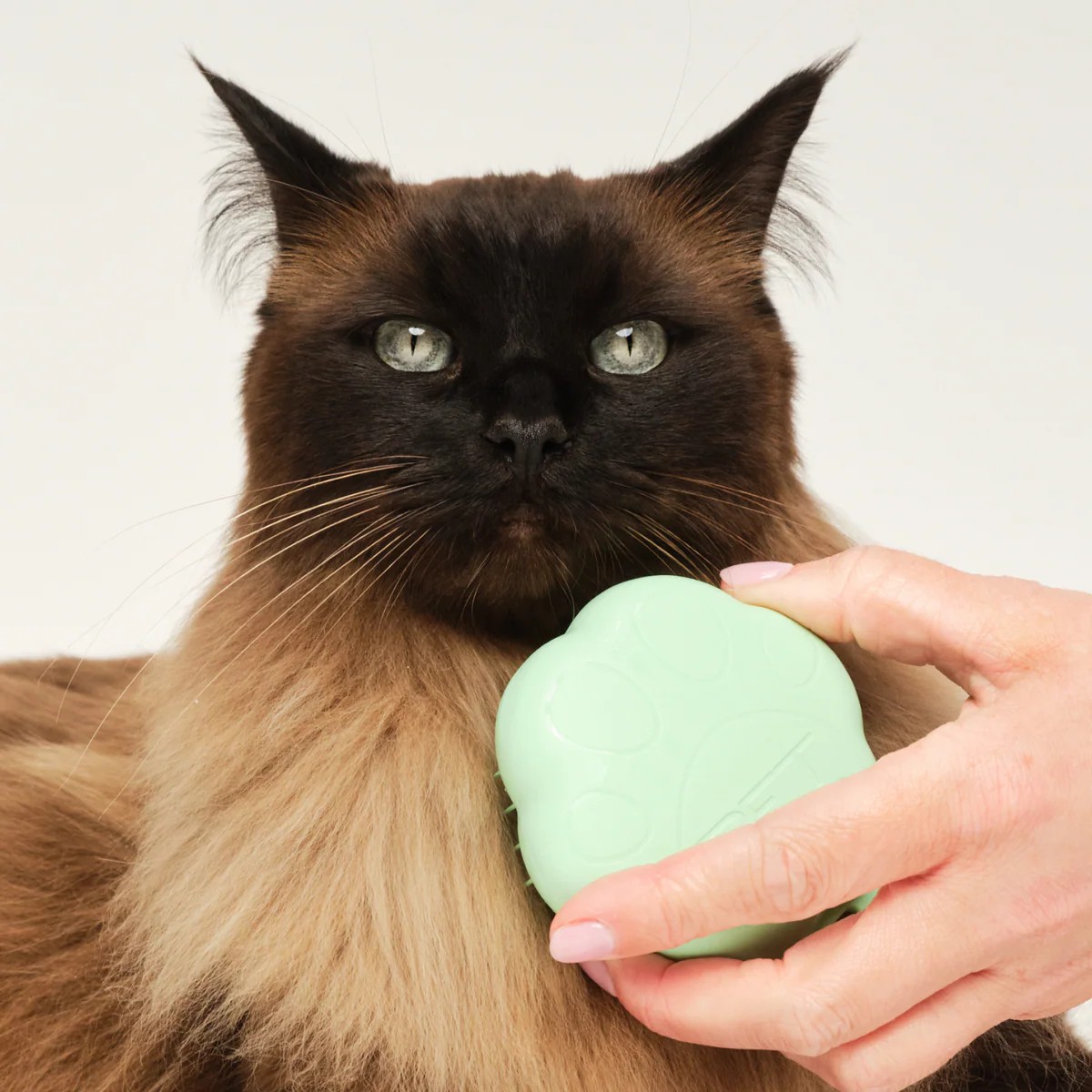 Pet Teezer Grooming Cat Brush Green
